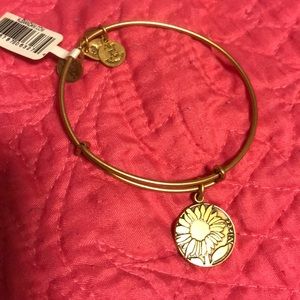 Alex and Ani Niece bracket